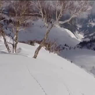 Arrival & Skill Check photo 1